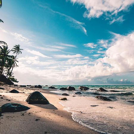 Villa Caylee Caribbean Estates - Ultra-Luxurious - Rimas Interiors Designs - Private Beachfront Escape - Premium Serviced For 8 Guests Port Edward Luaran gambar
